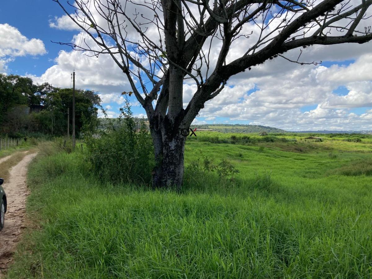 Lote, Inácia de Carvalho, 0 Quarto, 0 Vaga
