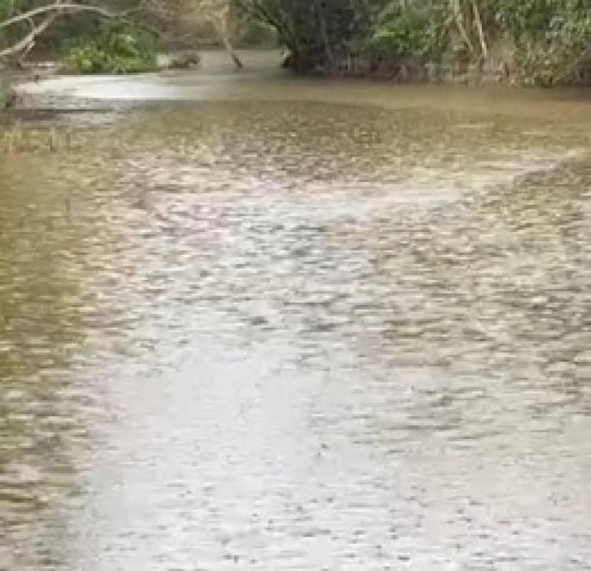 Lote, Parque Ipiranga, 0 Quarto, 0 Vaga