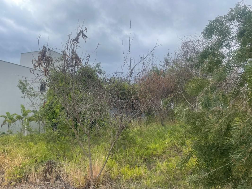 Lote, Mirante da Mata, 0 Quarto, 0 Vaga