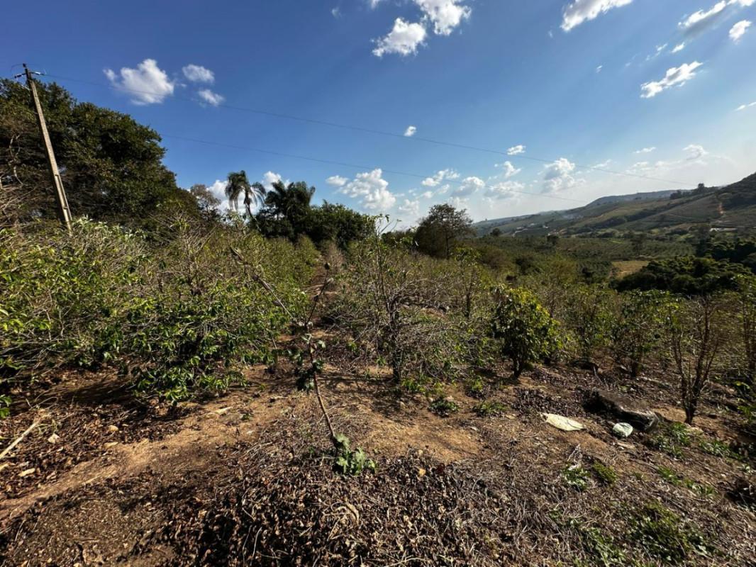 Fazenda, Centro, 0 Quarto, 0 Vaga