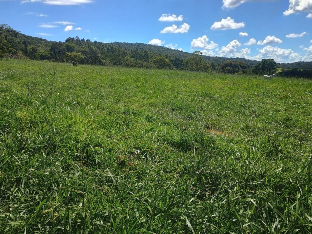 Fazenda, Zona Rural, 0 Quarto, 0 Vaga