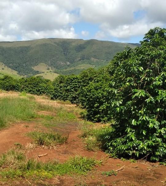 Fazenda, Zona Rural, 1 Quarto, 0 Vaga