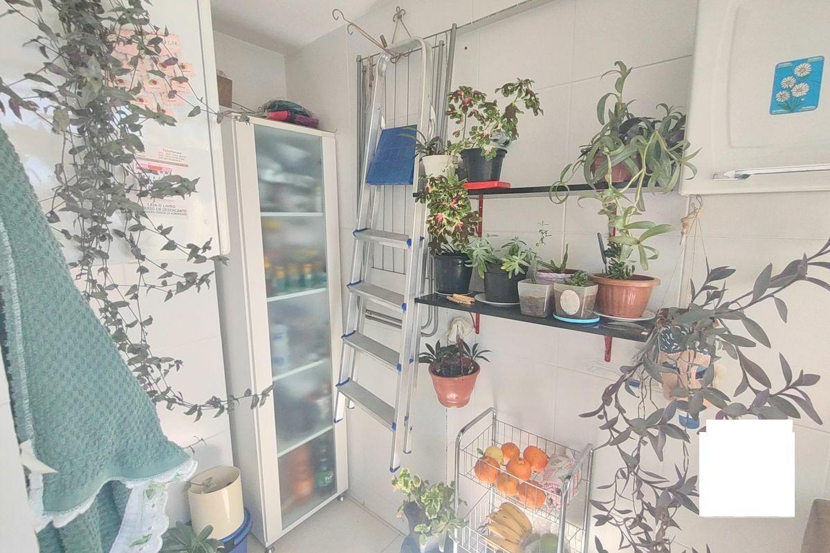 Apartamento, Palmeiras, 3 Quartos, 2 Vagas, 1 Suíte