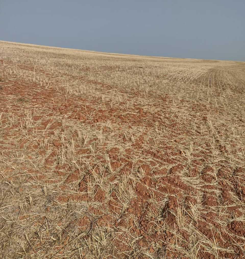 Fazenda, Zona Rural, 1 Quarto, 0 Vaga