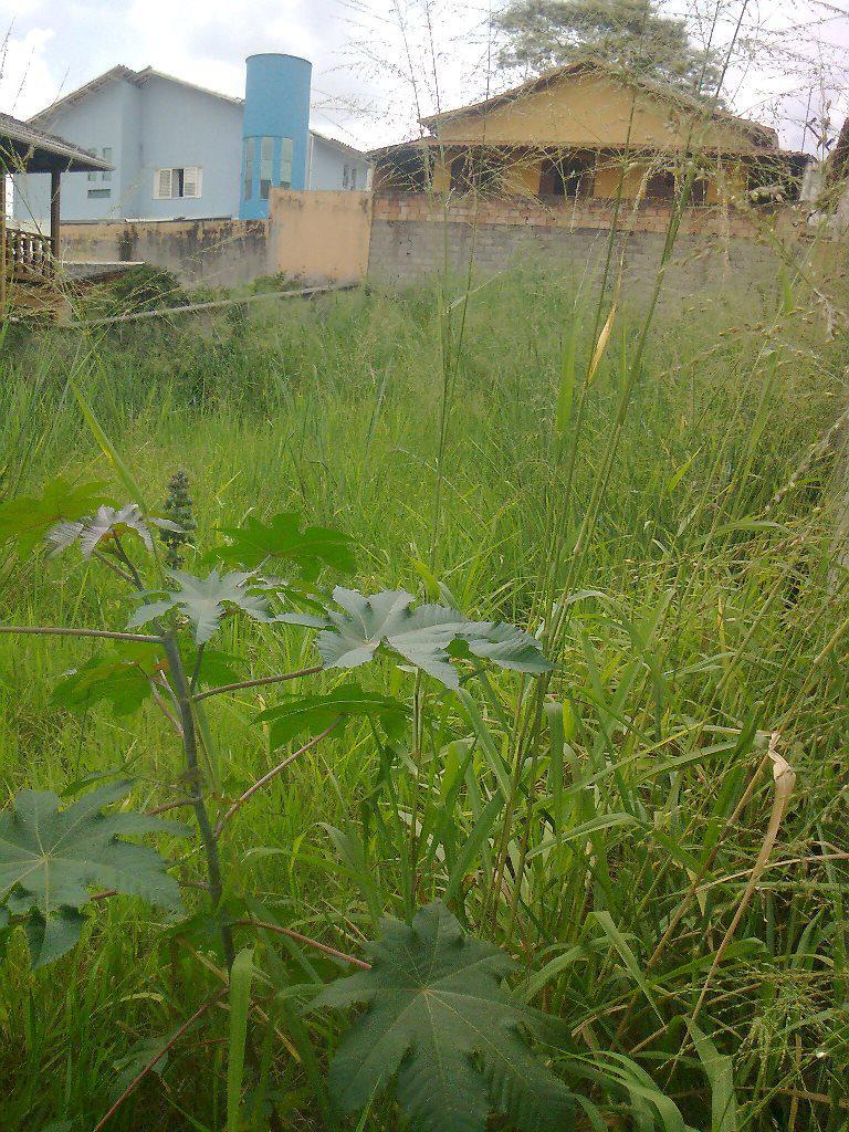 Lote, Jardim Riacho das Pedras, 0 Quarto, 0 Vaga
