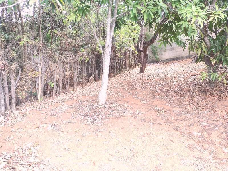 Fazenda, Recanto da Lagoa, 1 Quarto, 10 Vagas