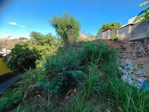 Lote, Giovanini, 0 Quarto, 0 Vaga