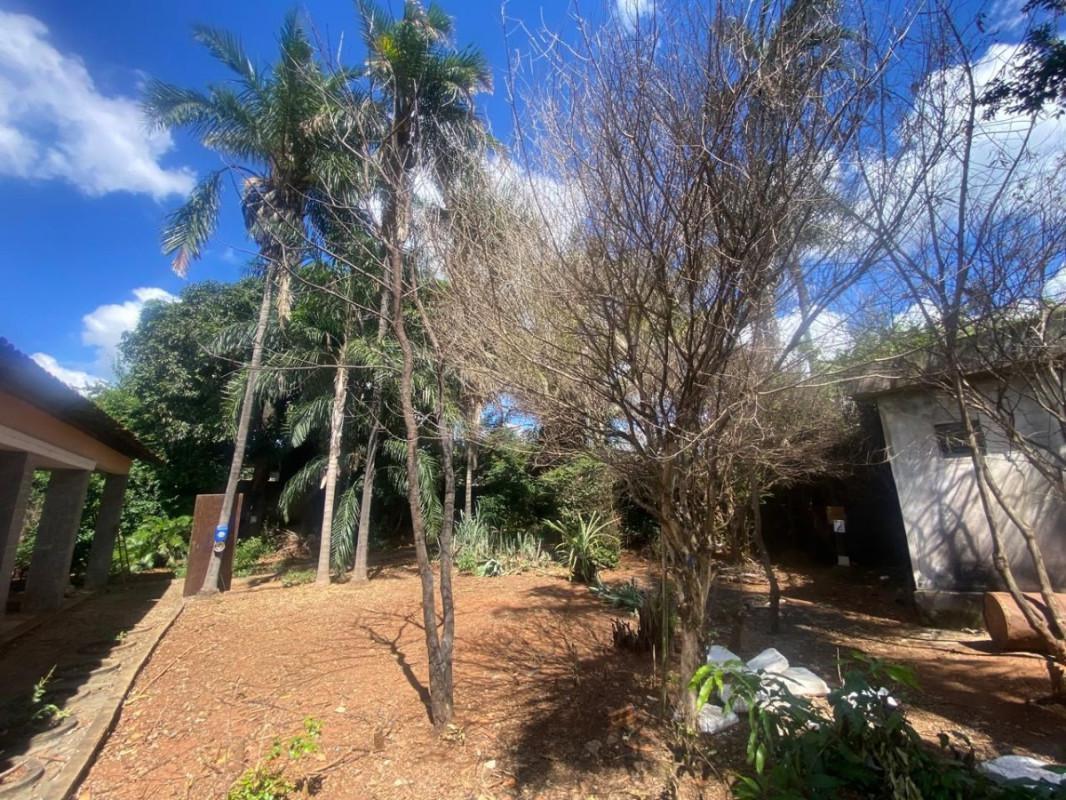 Apartamento, Progresso, 4 Quartos, 5 Vagas