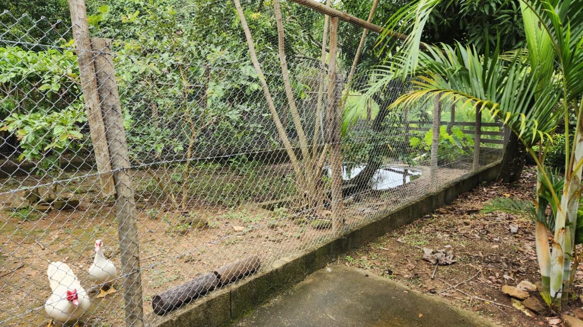 Fazenda, Zona Rural, 2 Quartos, 0 Vaga, 1 Suíte