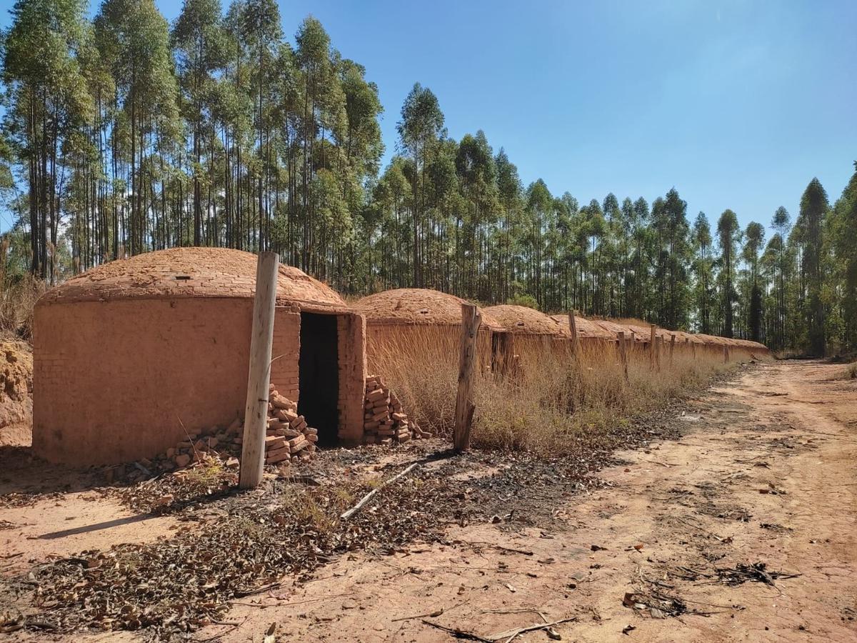 Lote, Penedo, 0 Quarto, 0 Vaga