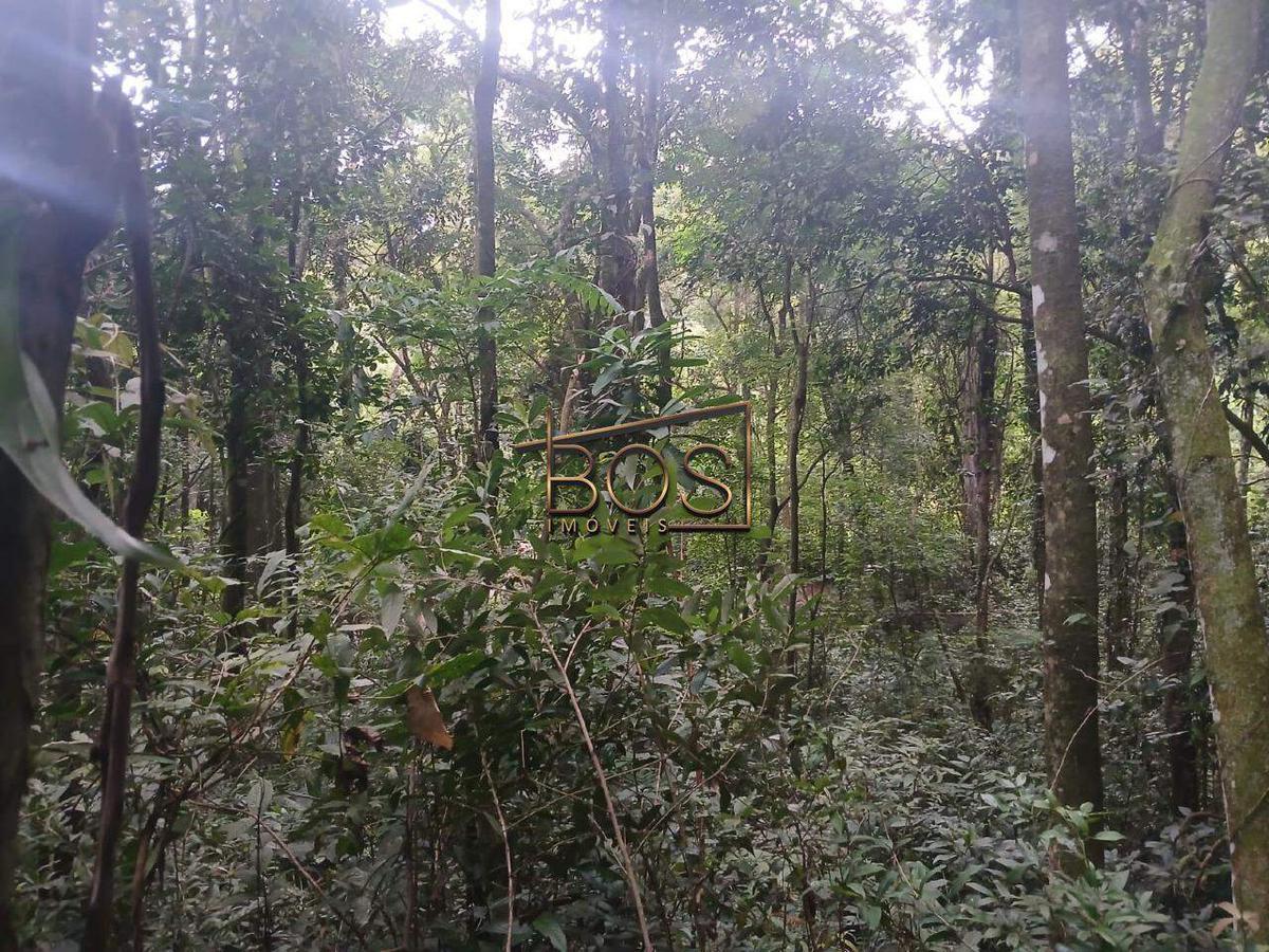 Lote, Jardim de Petrópolis, 0 Quarto, 0 Vaga