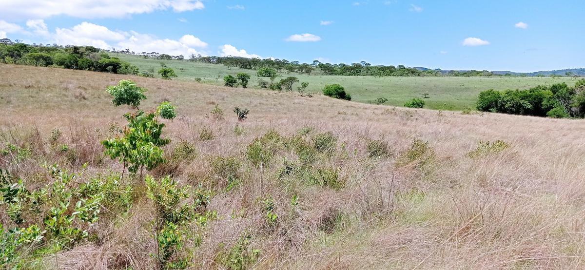Fazenda, Zona Rural, 0 Quarto, 0 Vaga