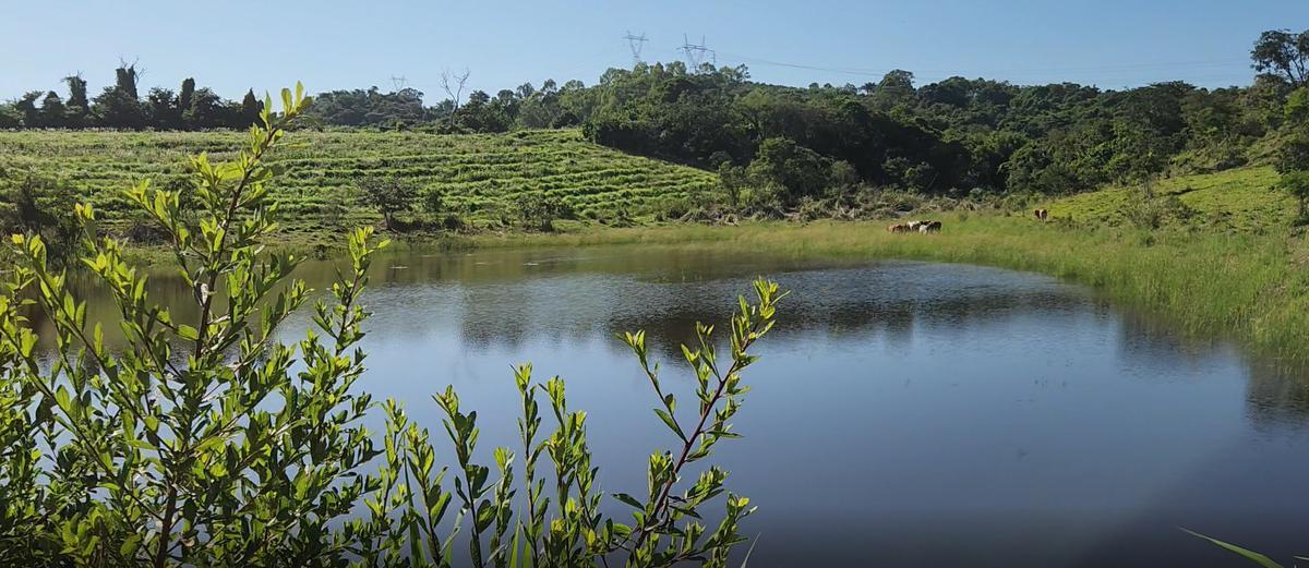 Fazenda, Zona Rural, 0 Quarto, 0 Vaga