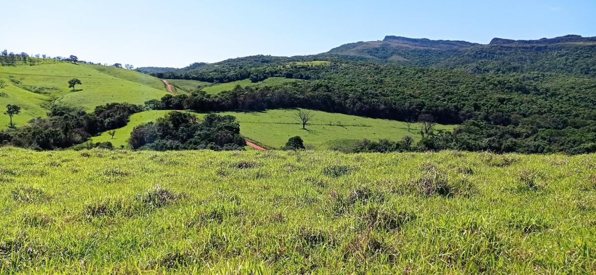 Fazenda, Zona Rural, 0 Quarto, 0 Vaga