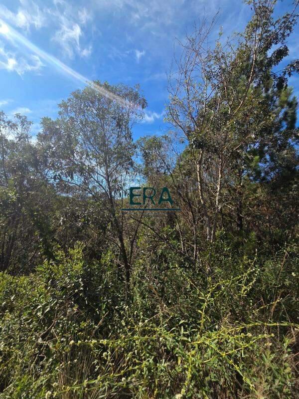 Lote, Village Sans Souci, 0 Quarto, 0 Vaga
