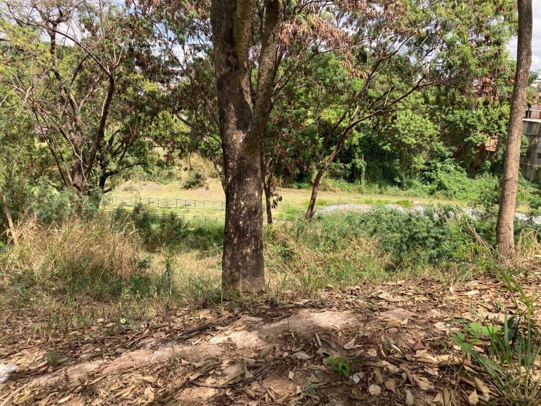 Lote, Santa Mônica, 0 Quarto, 0 Vaga
