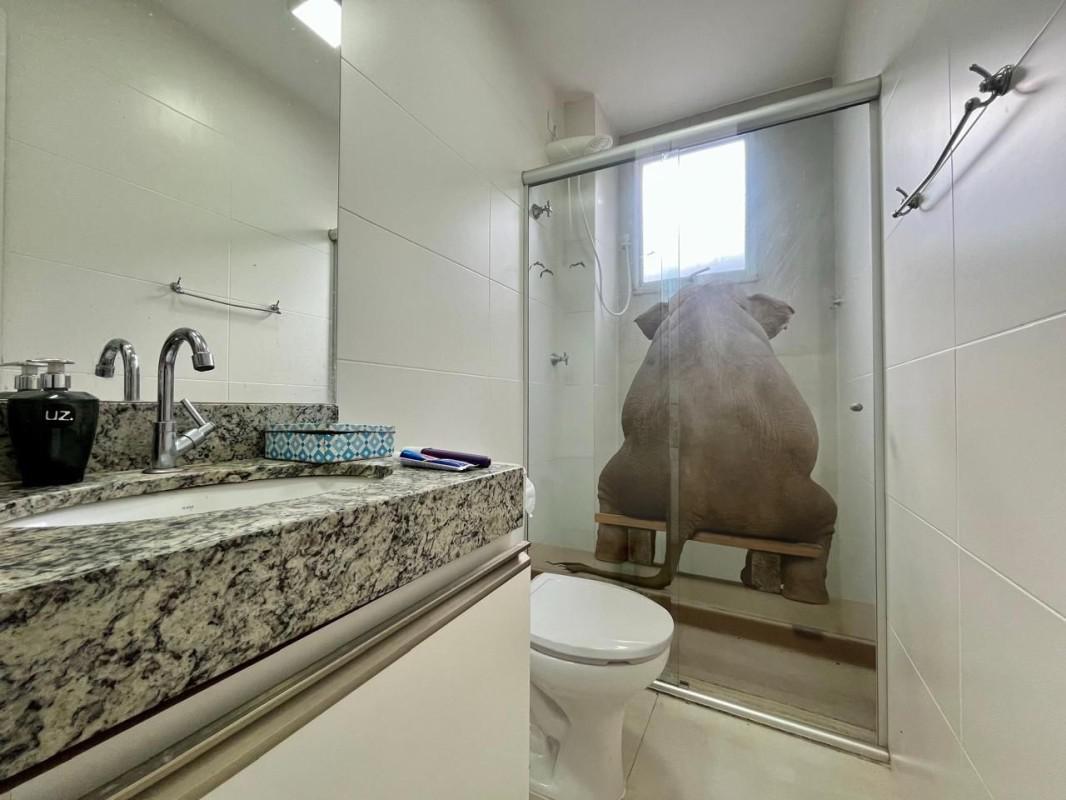 Cobertura, Cabral, 2 Quartos, 2 Vagas, 1 Suíte