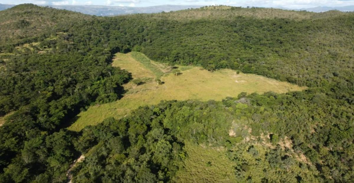 Fazenda, Centro, 4 Quartos, 0 Vaga