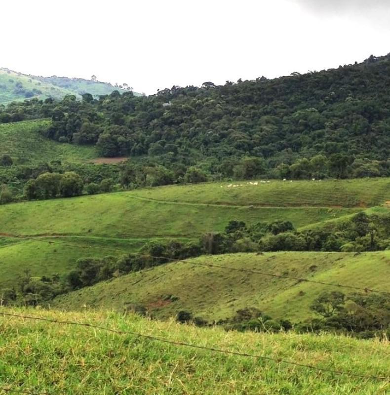 Fazenda, Zona Rural, 3 Quartos, 0 Vaga
