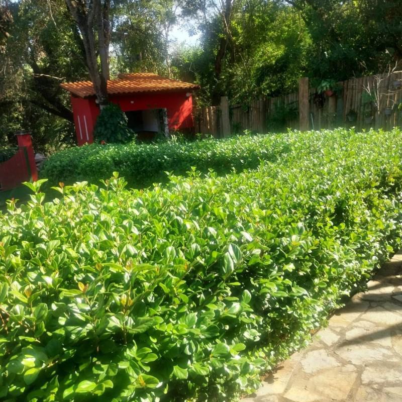 Fazenda, Palmital, 5 Quartos, 10 Vagas, 2 Suítes