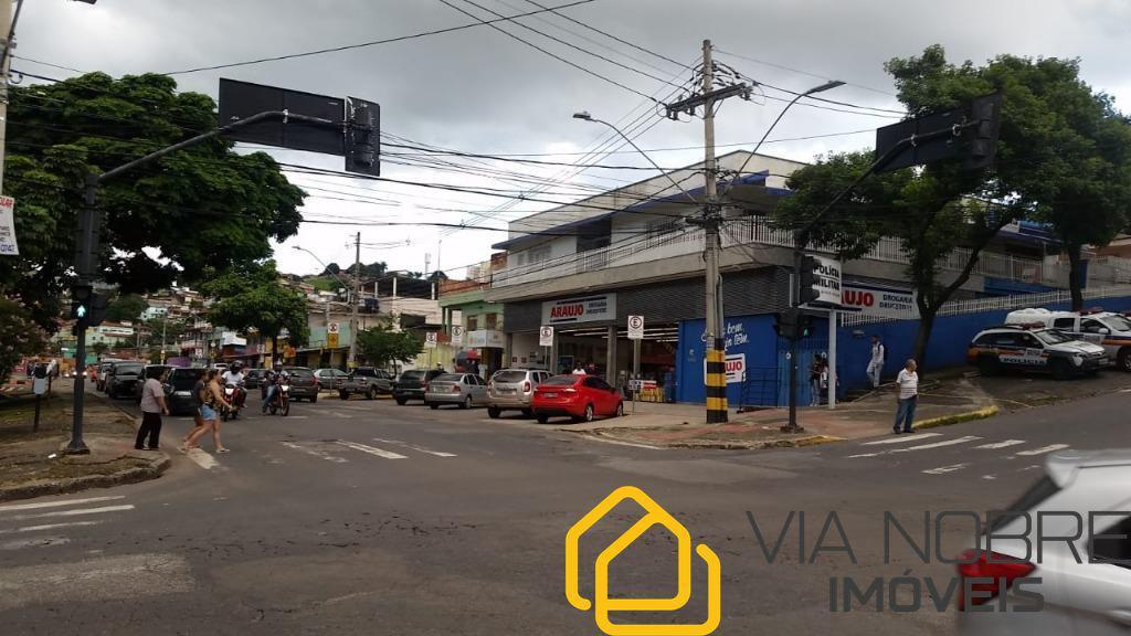 Lote, Palmeiras
