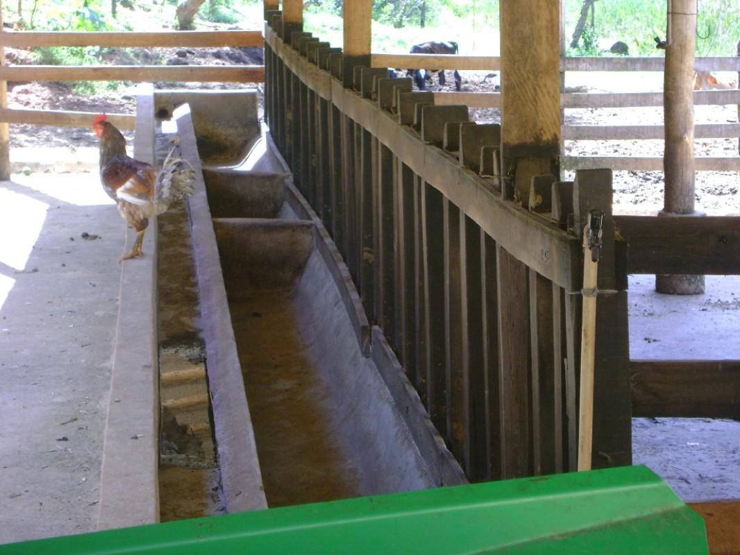 Fazenda, Centro, 3 Quartos, 1 Vaga