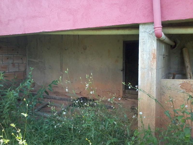 Prédio, Tijuco