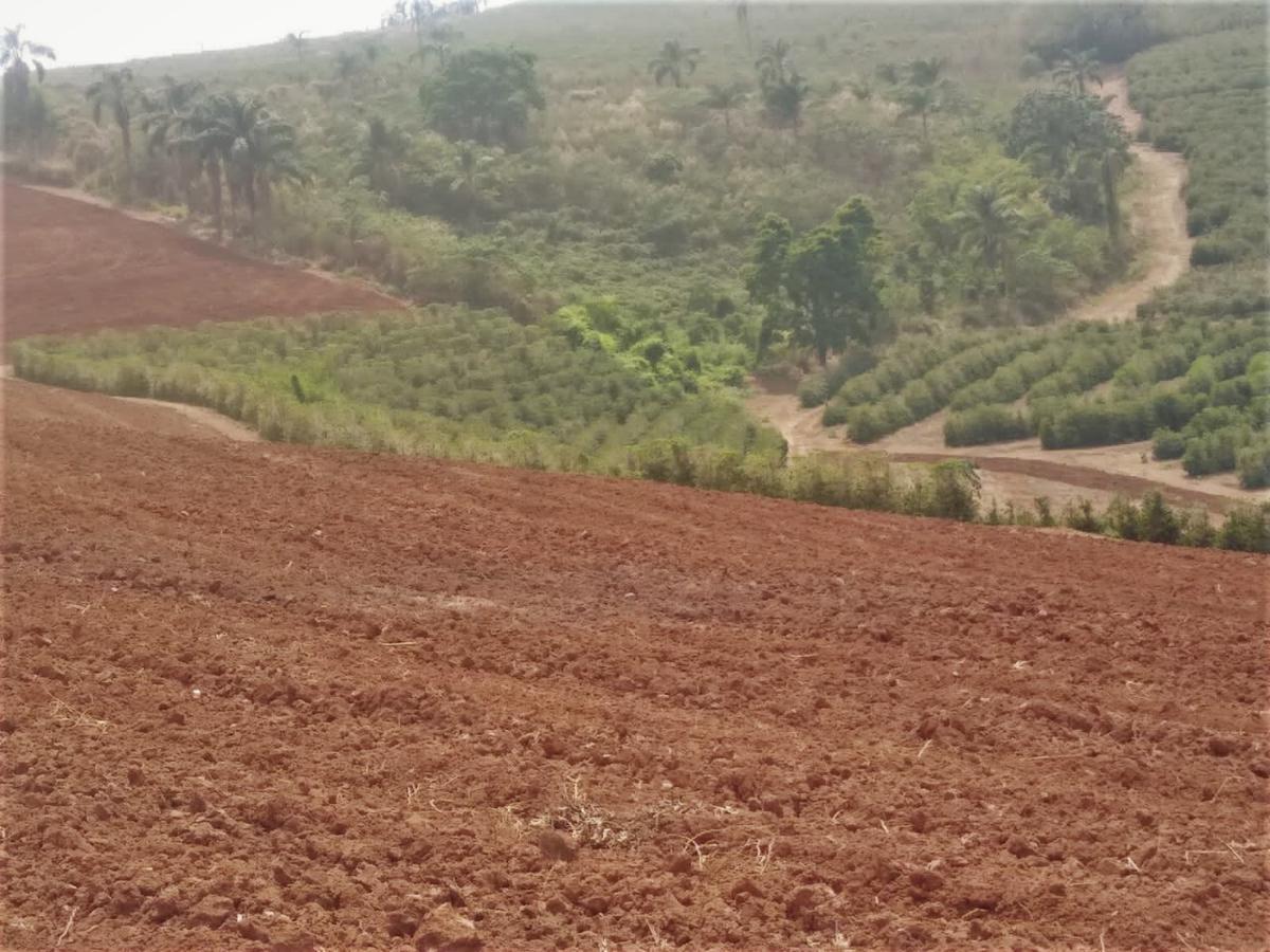Fazenda, Zona Rural, 3 Quartos, 3 Vagas