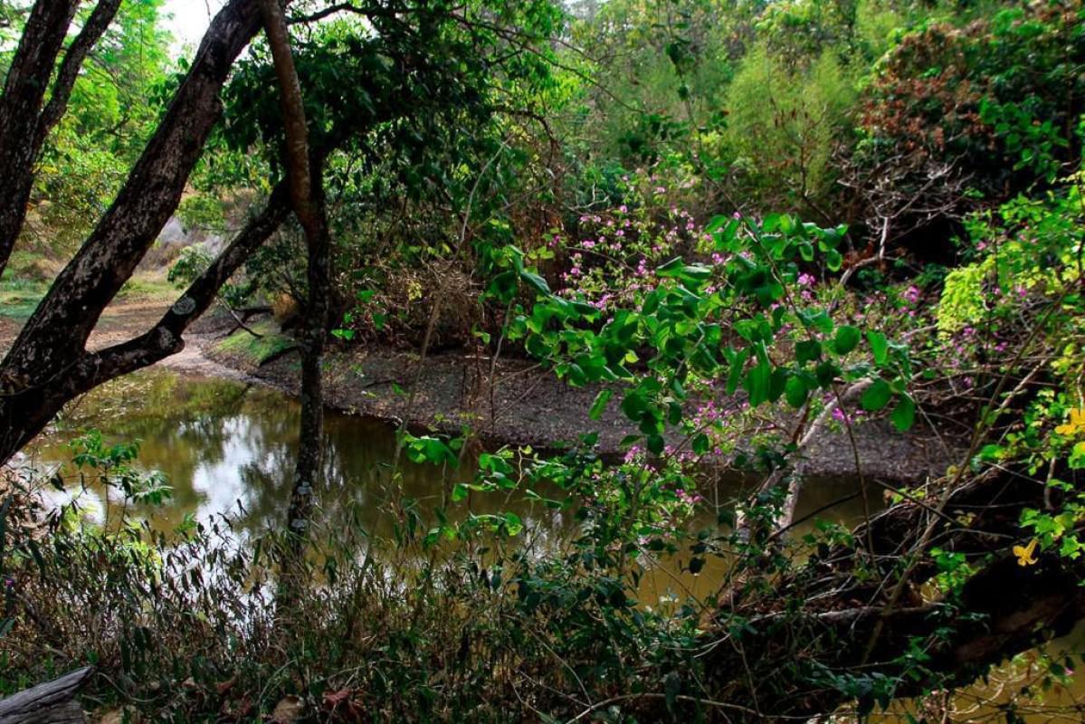 Lote, Parque Ipiranga, 0 Quarto, 0 Vaga