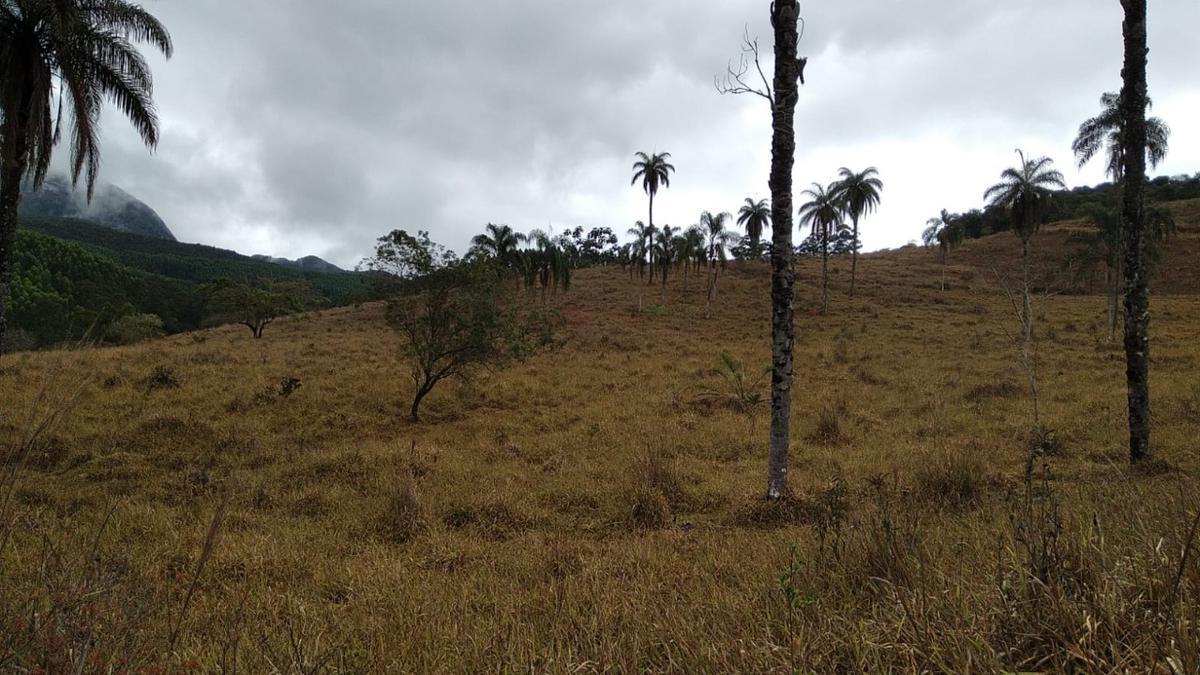 Lote, Zona Rural, 0 Quarto, 0 Vaga