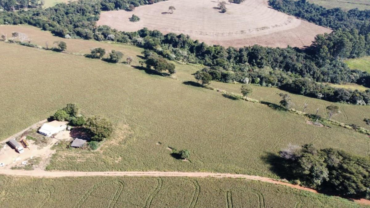 Fazenda, Centro, 0 Quarto, 0 Vaga