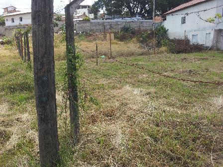 Lote, Tijuca