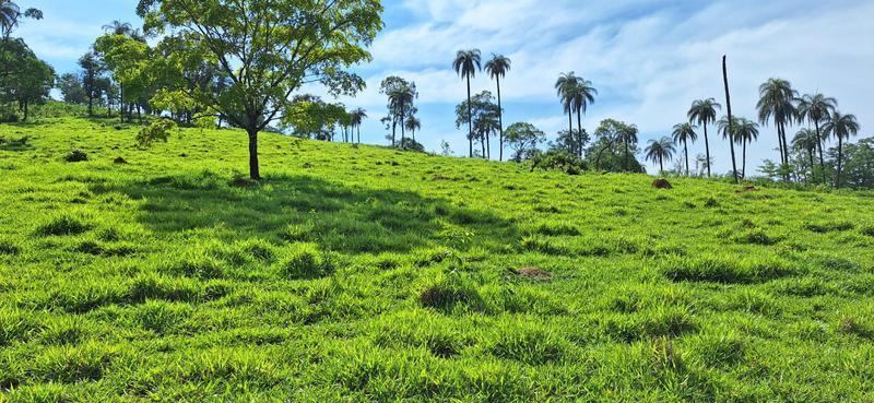 Lote, Zona Rural, 2 Quartos