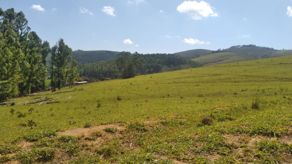 Fazenda, Centro, 0 Quarto, 0 Vaga