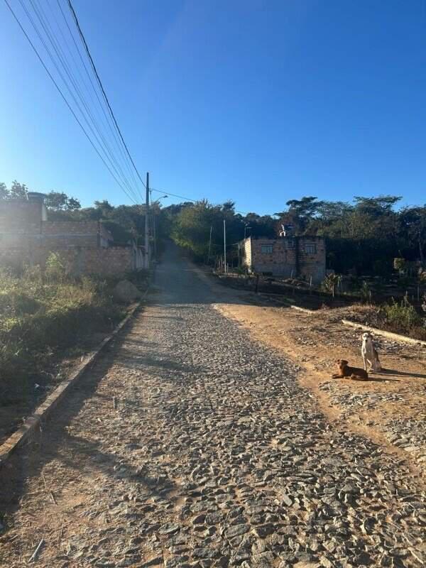 Fazenda, Floresta, 0 Quarto, 0 Vaga