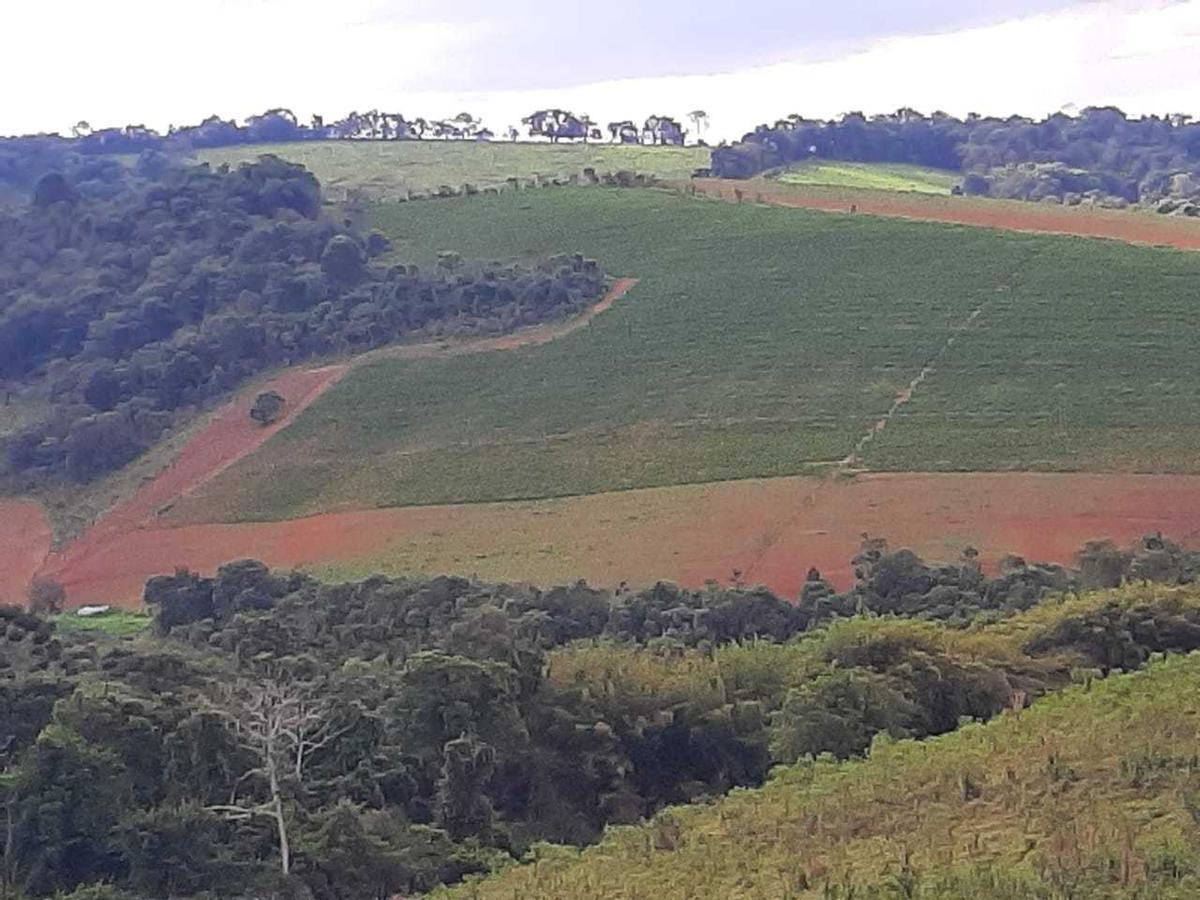 Fazenda, Centro, 0 Quarto, 0 Vaga