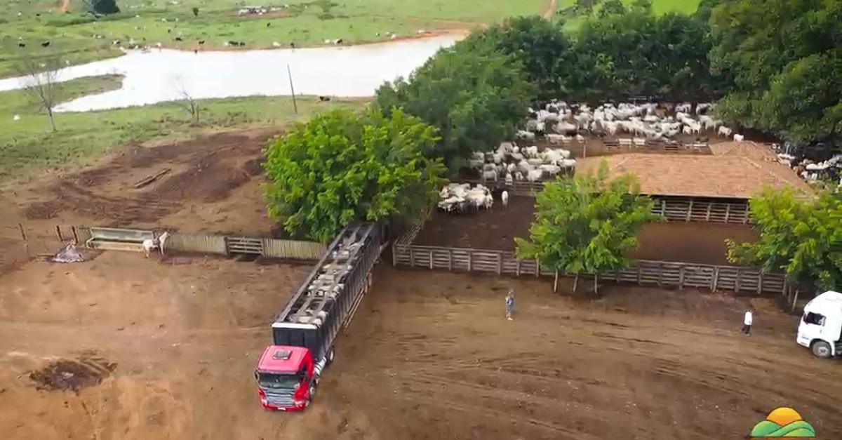 Fazenda, Zona Rural, 0 Quarto, 0 Vaga