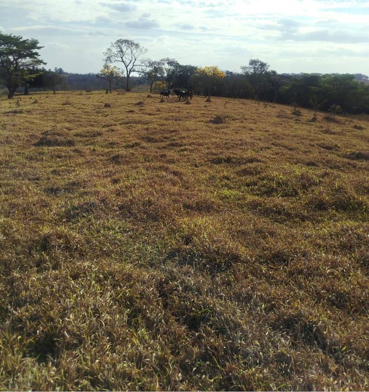 Fazenda, Zona Rural, 0 Quarto, 0 Vaga
