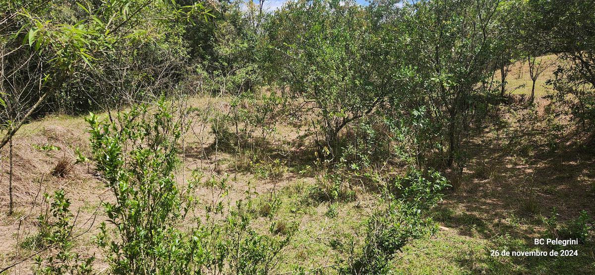 Fazenda, Zona Rural, 1 Quarto, 0 Vaga