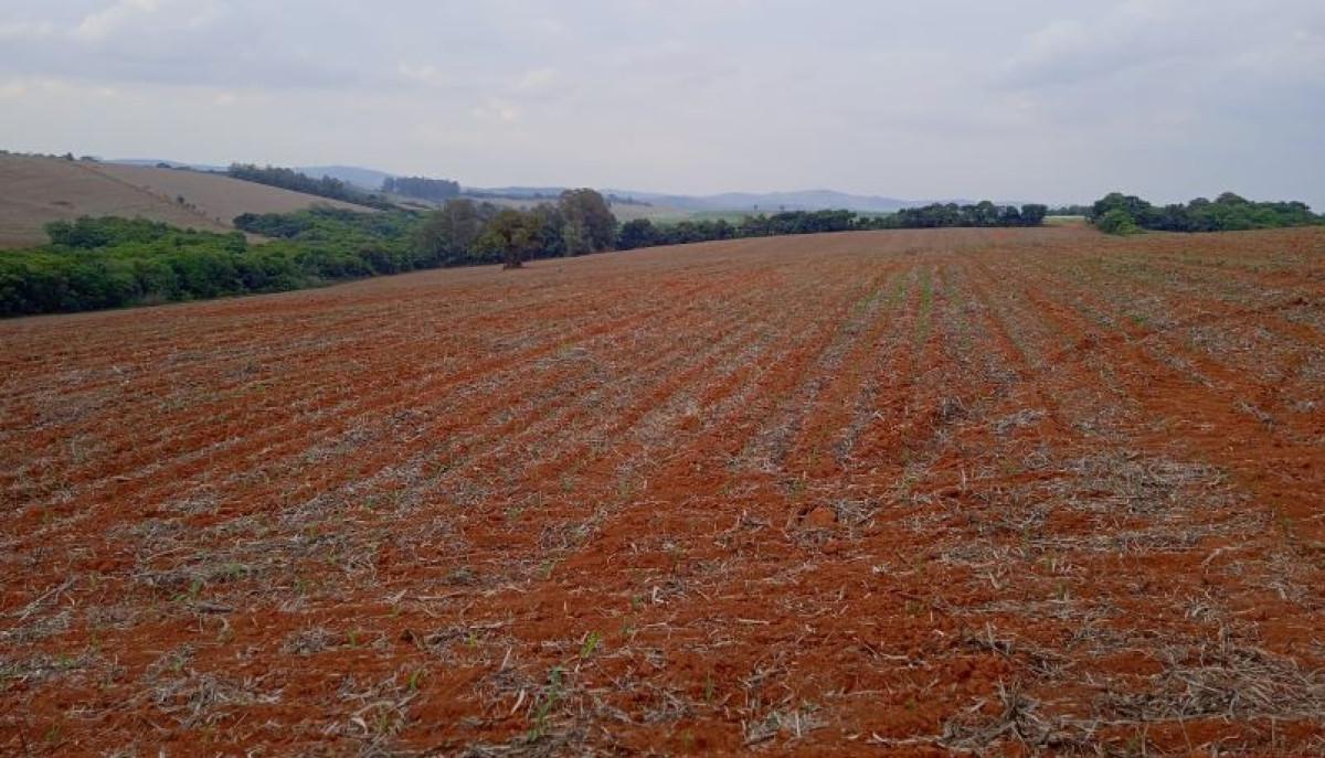 Fazenda, Zona Rural, 0 Quarto, 0 Vaga