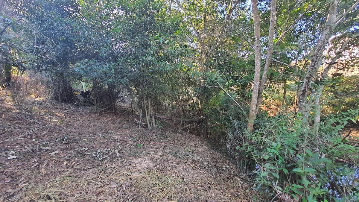 Lote, Ravena, 0 Quarto, 0 Vaga