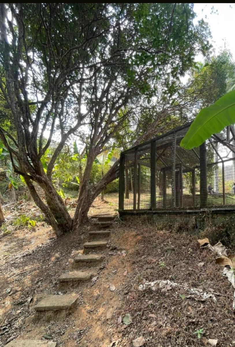 Fazenda, Centro, 4 Quartos, 10 Vagas