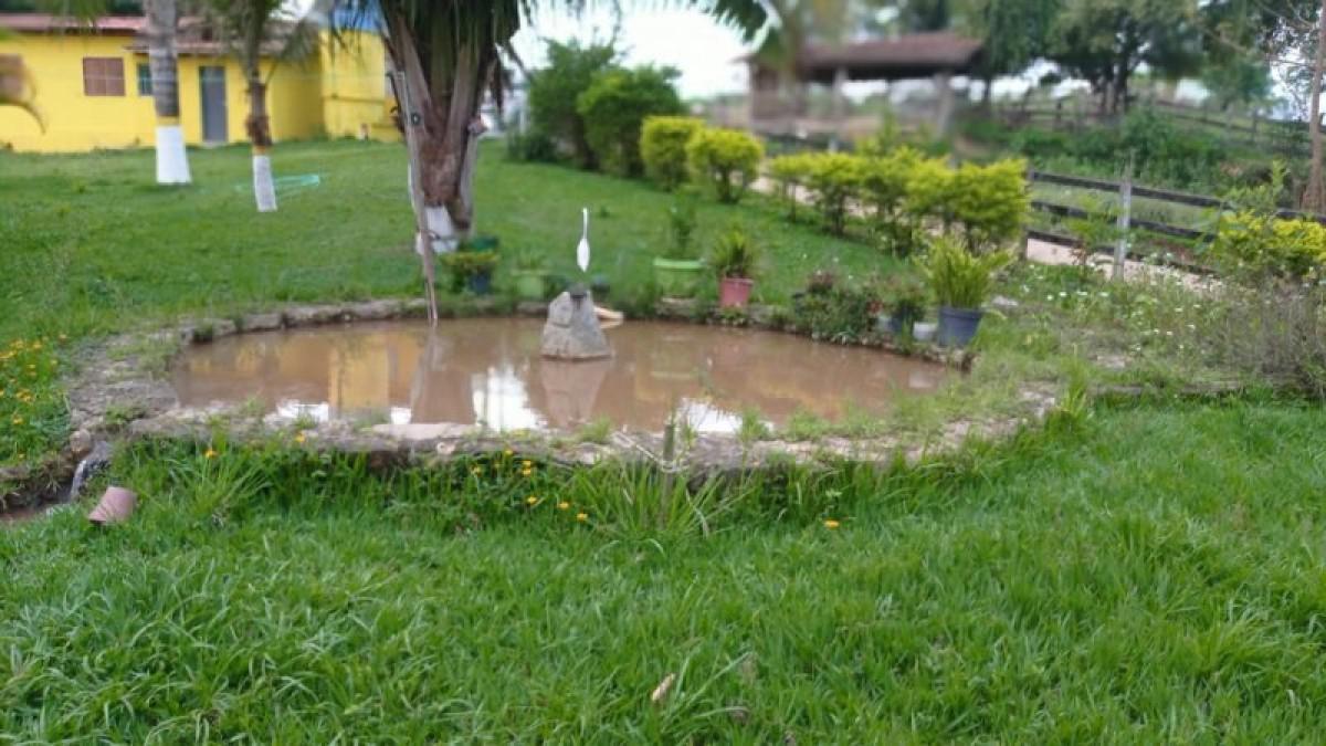 Fazenda, Centro, 6 Quartos, 3 Vagas