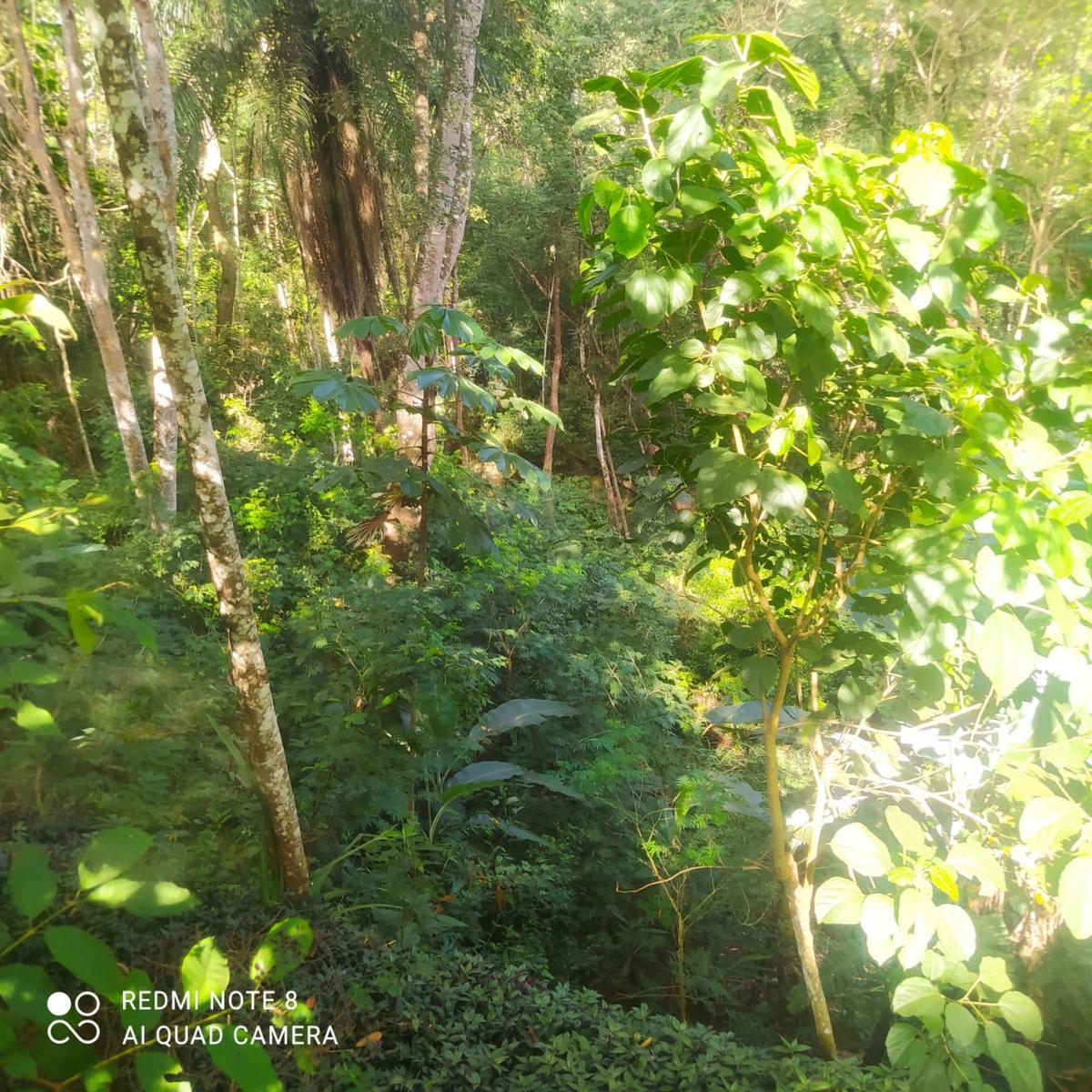 Fazenda, Zona Rural, 3 Quartos, 5 Vagas