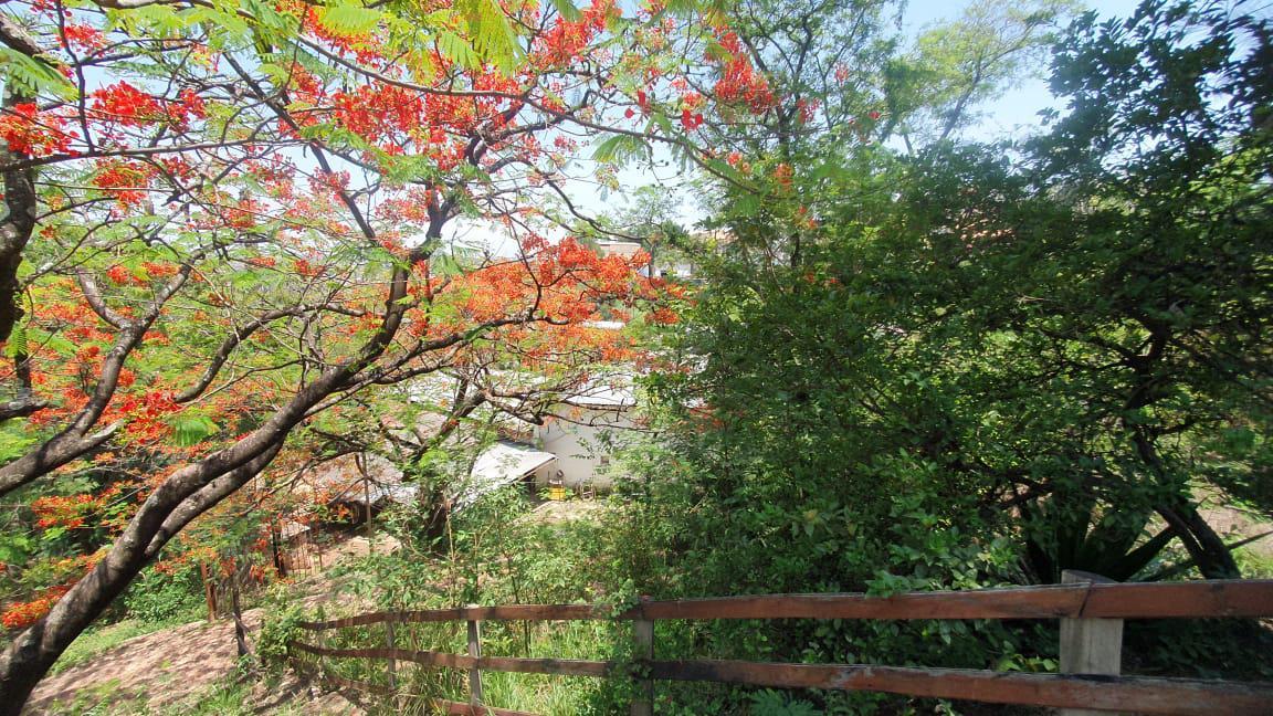 Lote, Jardim Vitória, 0 Quarto, 0 Vaga