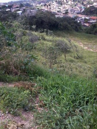 Lote, Jardim Alvorada (justinópolis)