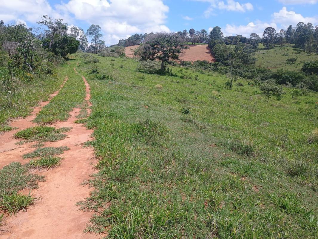 Fazenda, Zona Rural, 0 Quarto, 0 Vaga