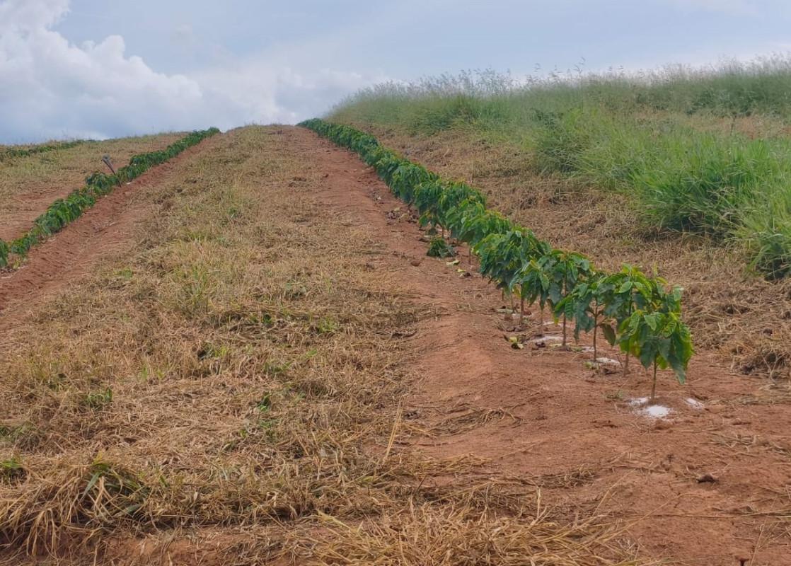 Fazenda, Zona Rural, 0 Quarto, 0 Vaga