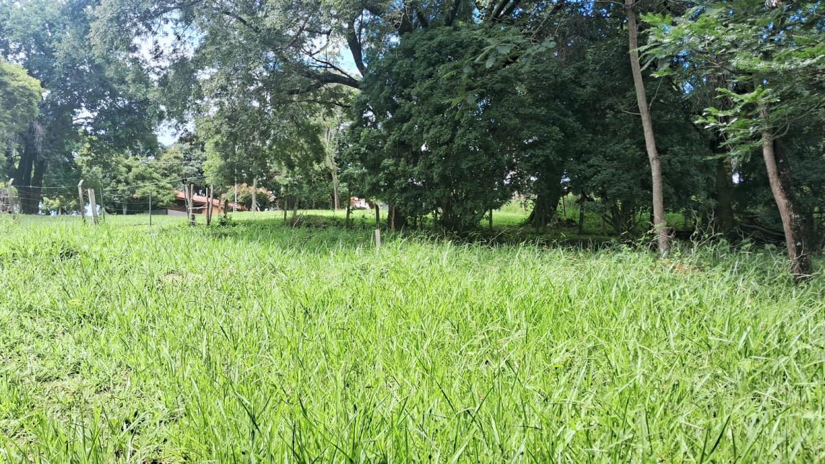 Lote, Parque Jardim Encantado, 0 Quarto, 0 Vaga