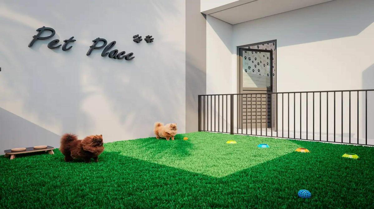Apartamento, Patrimônio, 3 Quartos, 2 Vagas, 1 Suíte